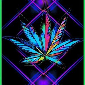 Meet your Posher, Ben